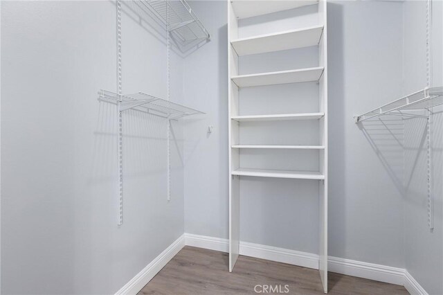 spacious closet featuring wood finished floors