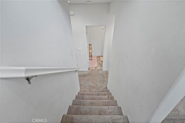 staircase featuring carpet