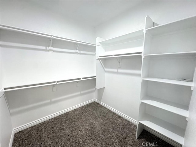 walk in closet featuring carpet