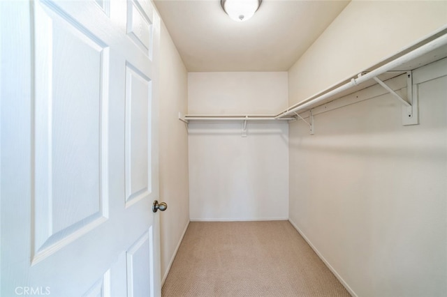 spacious closet featuring light colored carpet