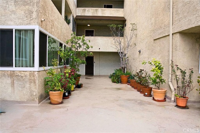 doorway to property featuring a patio area and stucco siding