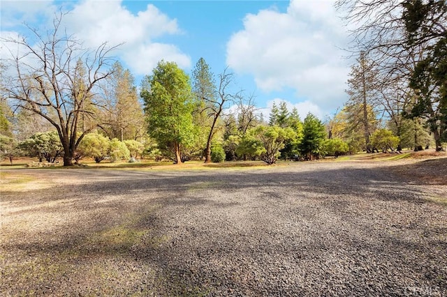 13725 Nimshew Rd, Magalia, CA 95954 - view of street