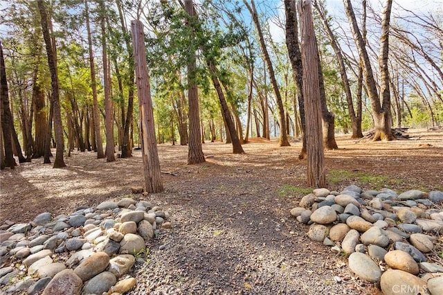 13725 Nimshew Rd, Magalia, CA 95954 - view of yard