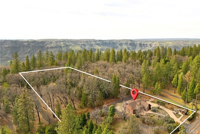 13725 Nimshew Rd, Magalia, CA 95954 - bird's eye view featuring a forest view