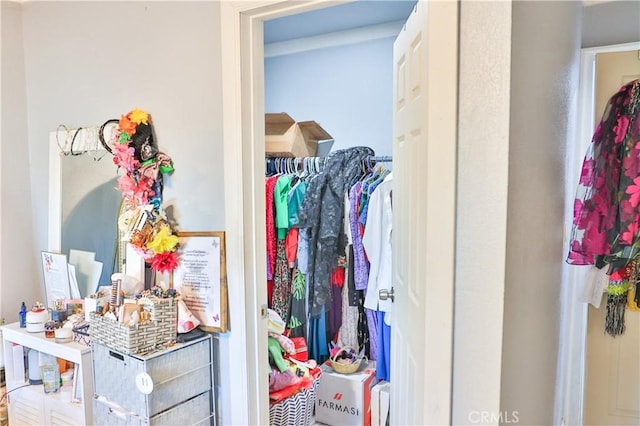 view of closet
