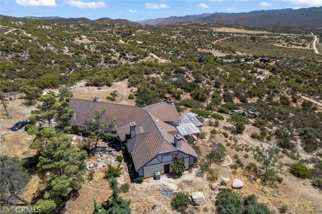 birds eye view of property featuring a mountain view