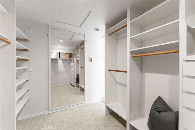 spacious closet with carpet flooring and attic access