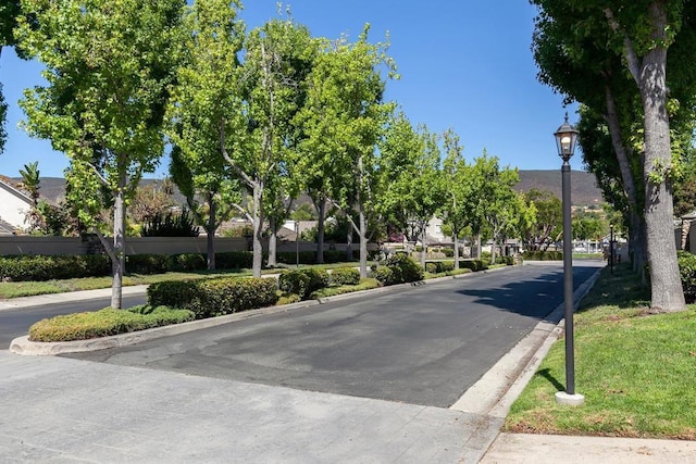 view of street featuring curbs and street lighting