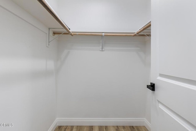 walk in closet featuring wood finished floors