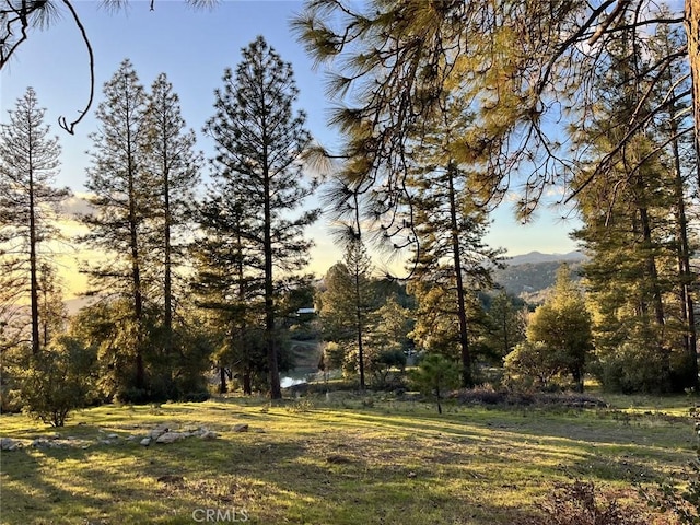 04.98AC Timberwood Ln, Oakhurst CA, 93644 land for sale