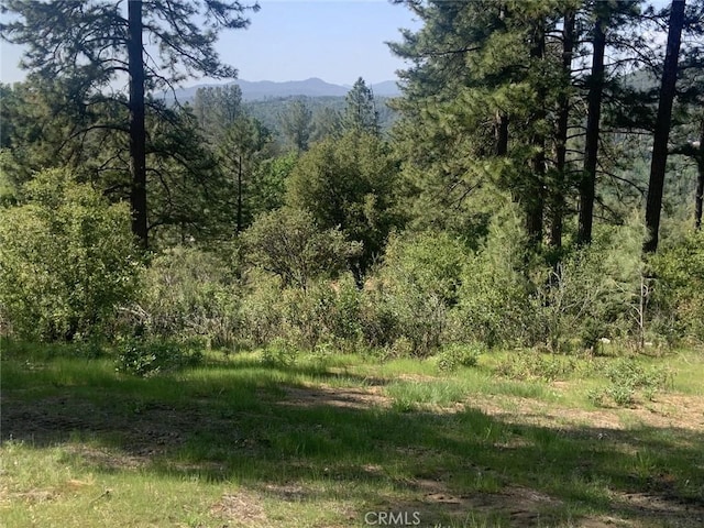 Listing photo 2 for 04.98AC Timberwood Ln, Oakhurst CA 93644