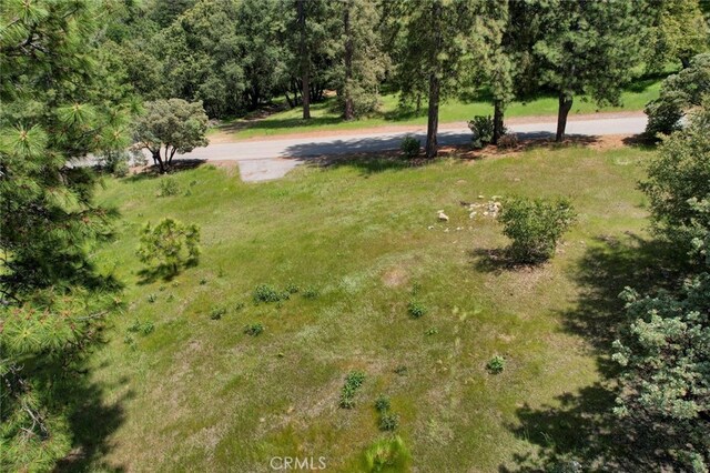 8LOT Timberwood Ln, Oakhurst, CA 93644 - photo 13