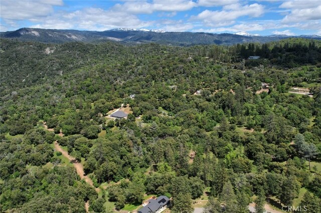 8LOT Timberwood Ln, Oakhurst, CA 93644 - photo 22