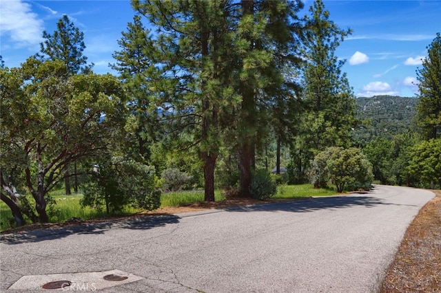 8LOT Timberwood Ln, Oakhurst, CA 93644 - photo 2