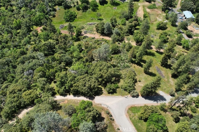 8LOT Timberwood Ln, Oakhurst, CA 93644 - photo 24