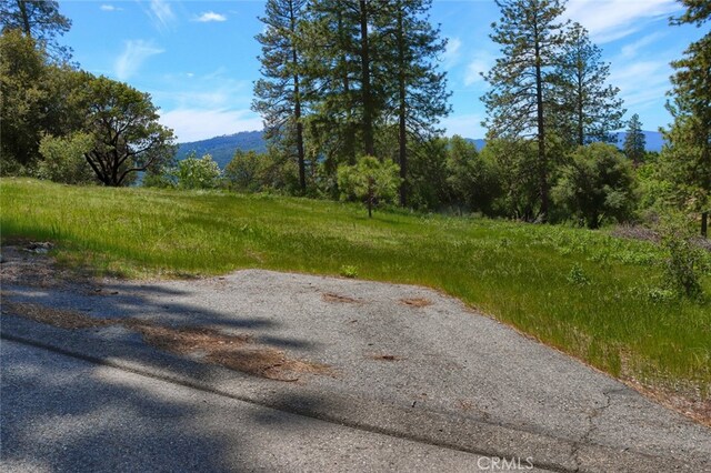 8LOT Timberwood Ln, Oakhurst, CA 93644 - photo 15