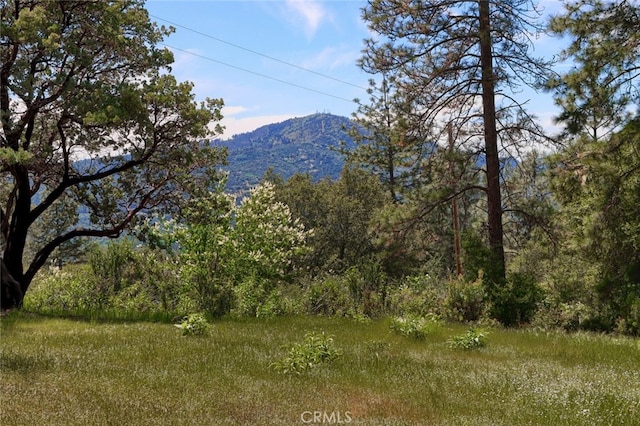 8LOT Timberwood Ln, Oakhurst, CA 93644 - photo 7