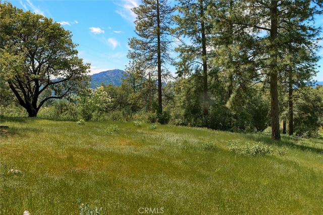 8LOT Timberwood Ln, Oakhurst, CA 93644 - photo 3