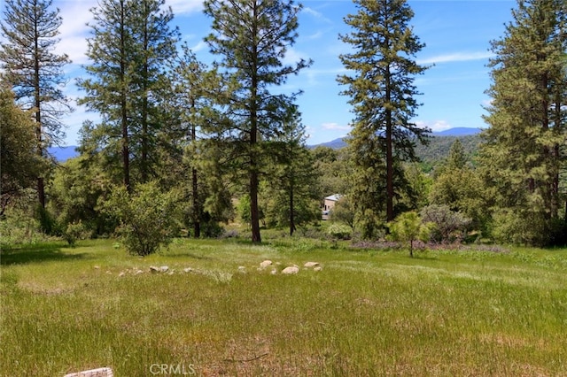 8LOT Timberwood Ln, Oakhurst, CA 93644 - photo 4