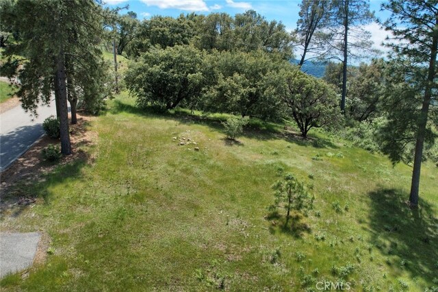 8LOT Timberwood Ln, Oakhurst, CA 93644 - photo 23