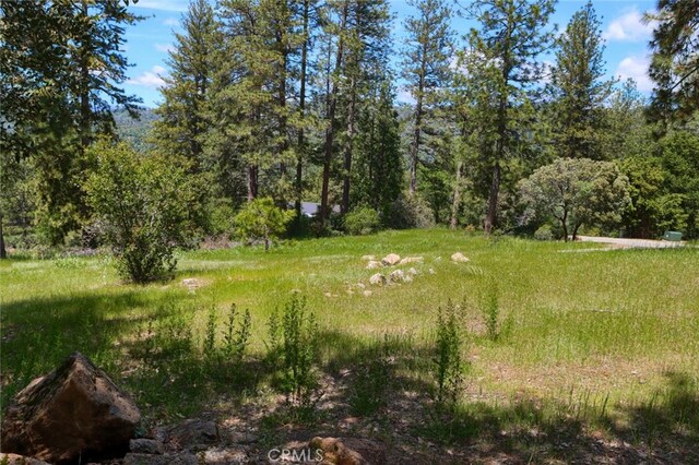 8LOT Timberwood Ln, Oakhurst, CA 93644 - photo 12