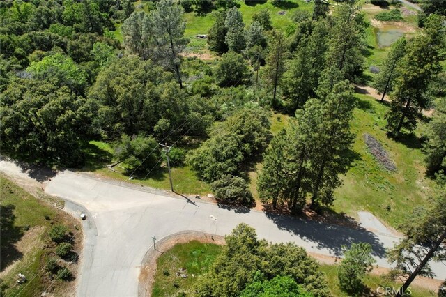 8LOT Timberwood Ln, Oakhurst, CA 93644 - photo 8