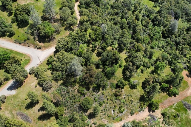 8LOT Timberwood Ln, Oakhurst, CA 93644 - photo 5