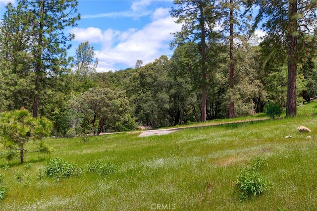 8LOT Timberwood Ln, Oakhurst, CA 93644 - photo 6