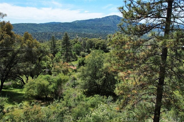 8LOT Timberwood Ln, Oakhurst, CA 93644 - photo 11