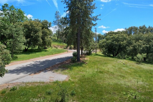 8LOT Timberwood Ln, Oakhurst, CA 93644 - photo 10