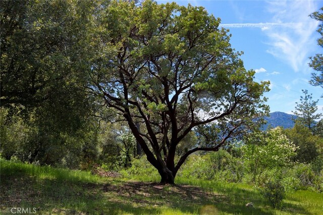 8LOT Timberwood Ln, Oakhurst, CA 93644 - photo 20