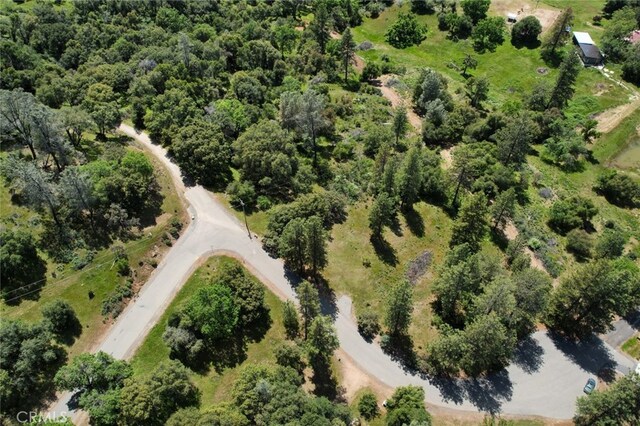 8LOT Timberwood Ln, Oakhurst, CA 93644 - photo 14