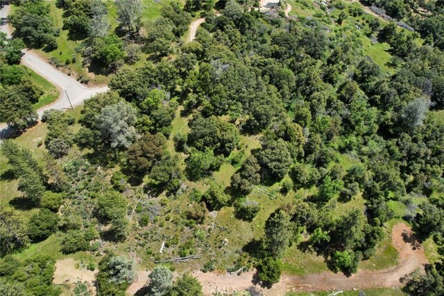8LOT Timberwood Ln, Oakhurst, CA 93644 - photo 21