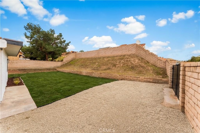 view of yard with a patio area and a fenced backyard