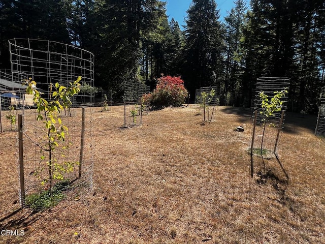 view of yard with a garden