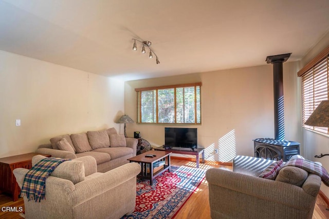 living room featuring a wood stove and wood finished floors