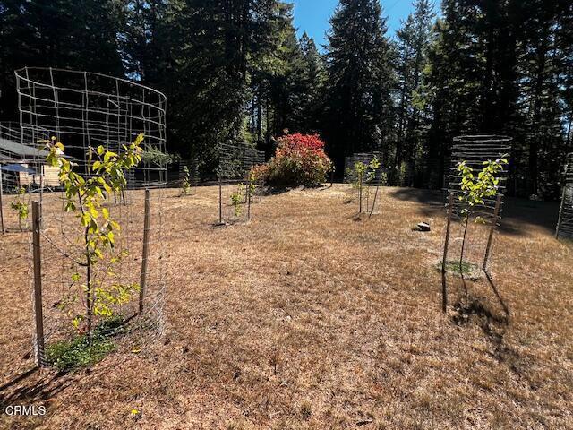 view of yard featuring a vegetable garden