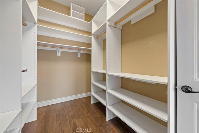 walk in closet with wood finished floors