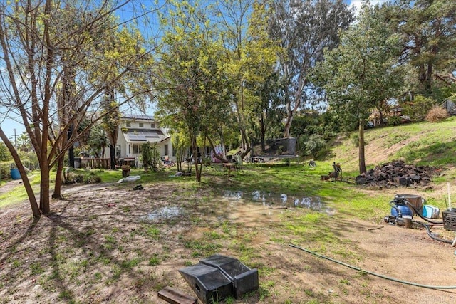 view of yard featuring a trampoline