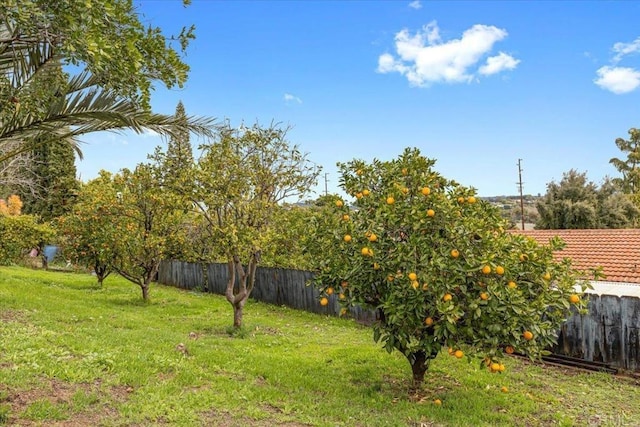 view of yard featuring fence