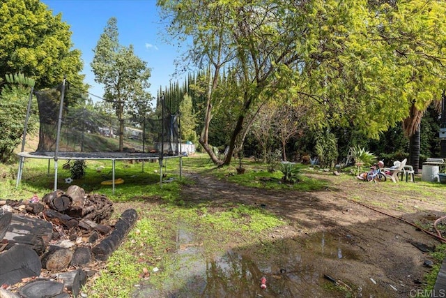 view of yard with a trampoline