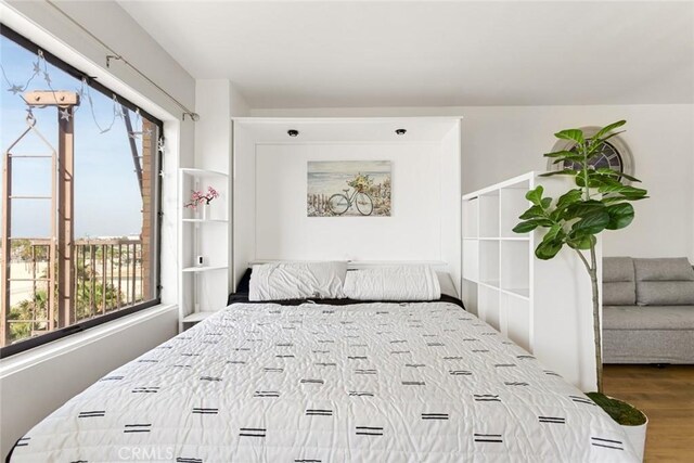 bedroom featuring multiple windows and wood finished floors