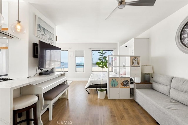 living room featuring a ceiling fan and wood-type flooring