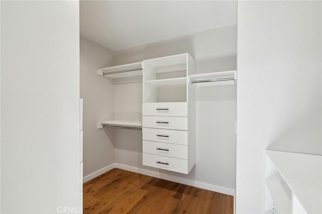 walk in closet featuring wood finished floors