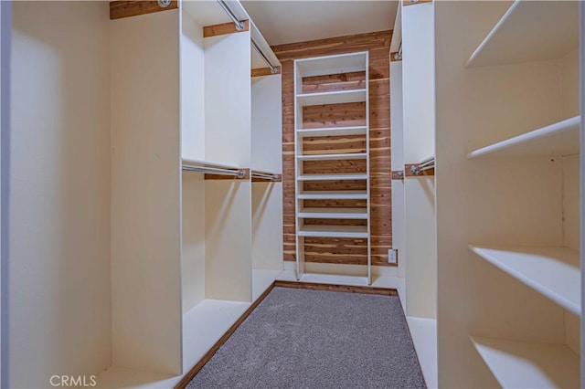 spacious closet featuring carpet flooring