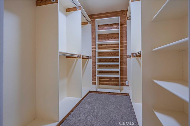 30360 Point Marina Dr, Canyon Lake, CA 92587 - spacious closet featuring carpet flooring