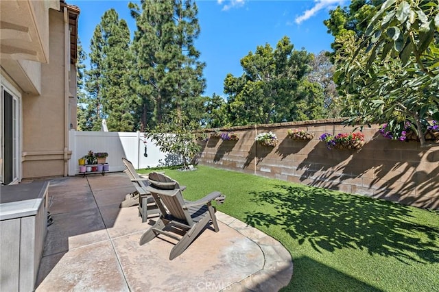 view of yard with a patio area and a fenced backyard