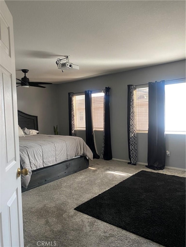 unfurnished bedroom with multiple windows and carpet floors