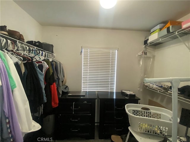 view of spacious closet