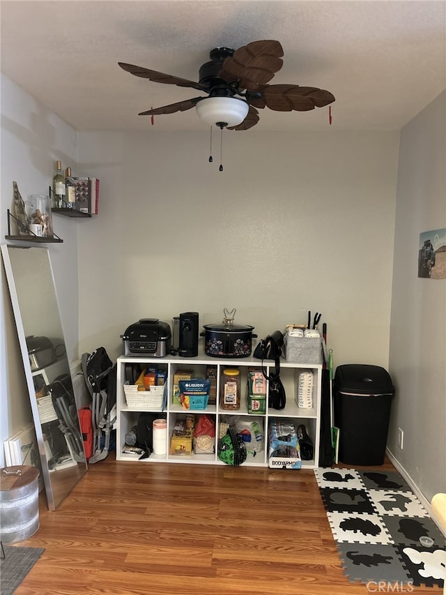 storage room with ceiling fan